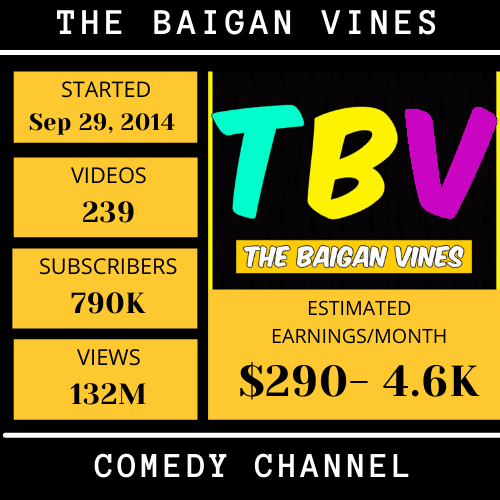 Baigan Vines-top youtubers income in hyderabad