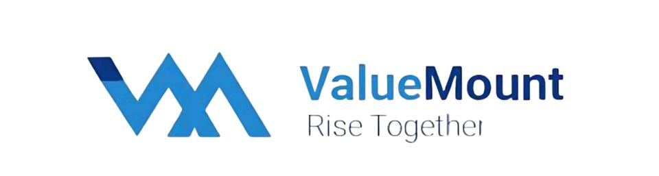 ValueMount Logo