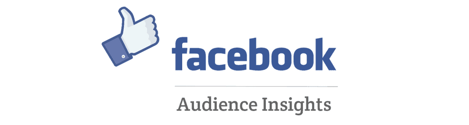 Meta Ads course In Hyderabad- Meta Ads course in Hyderabad-Facebook Audience Insights