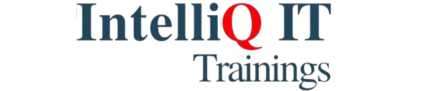 Students from Digital Brolly Institute got placed at IntelliQ IT after completing a Digital Marketing Course