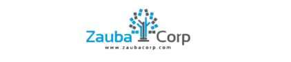 Students from Digital Brolly Institute got placed at zauba corp after completing a Digital Marketing Course
