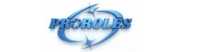 Proroles Digital Solutions Pvt. Ltd